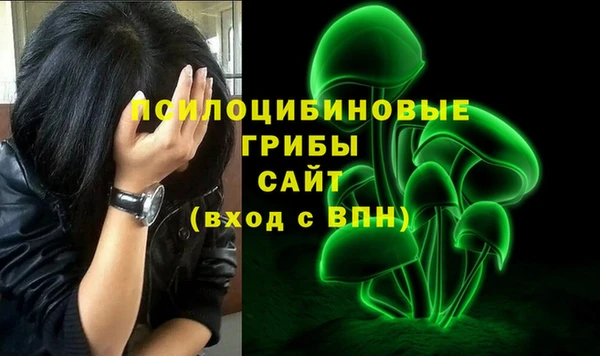 ECSTASY Сосновый Бор